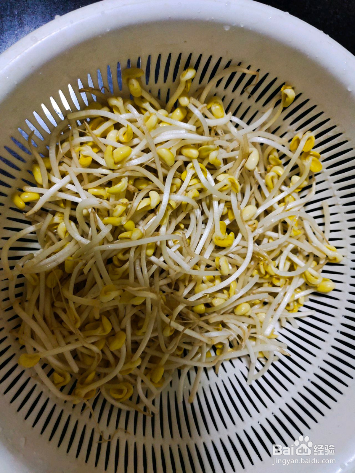 超简单的清炒黄豆芽的做法