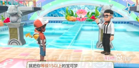 switch宝可梦攻略