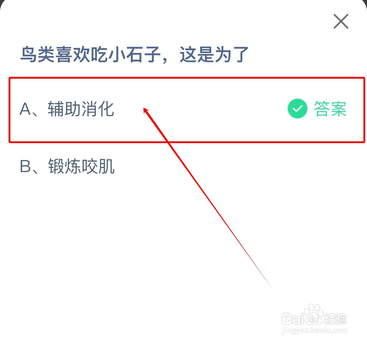 鸟类喜欢吃小石子这是为了？蚂蚁庄园