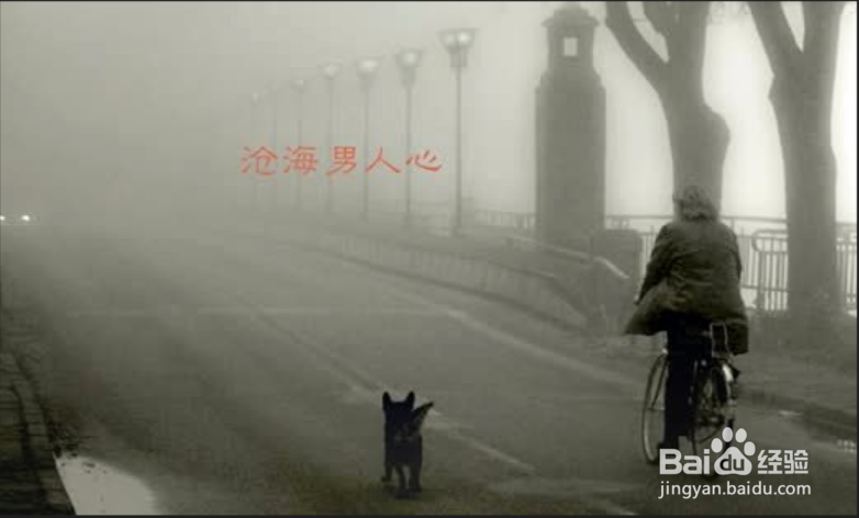 什么投资不会亏钱
