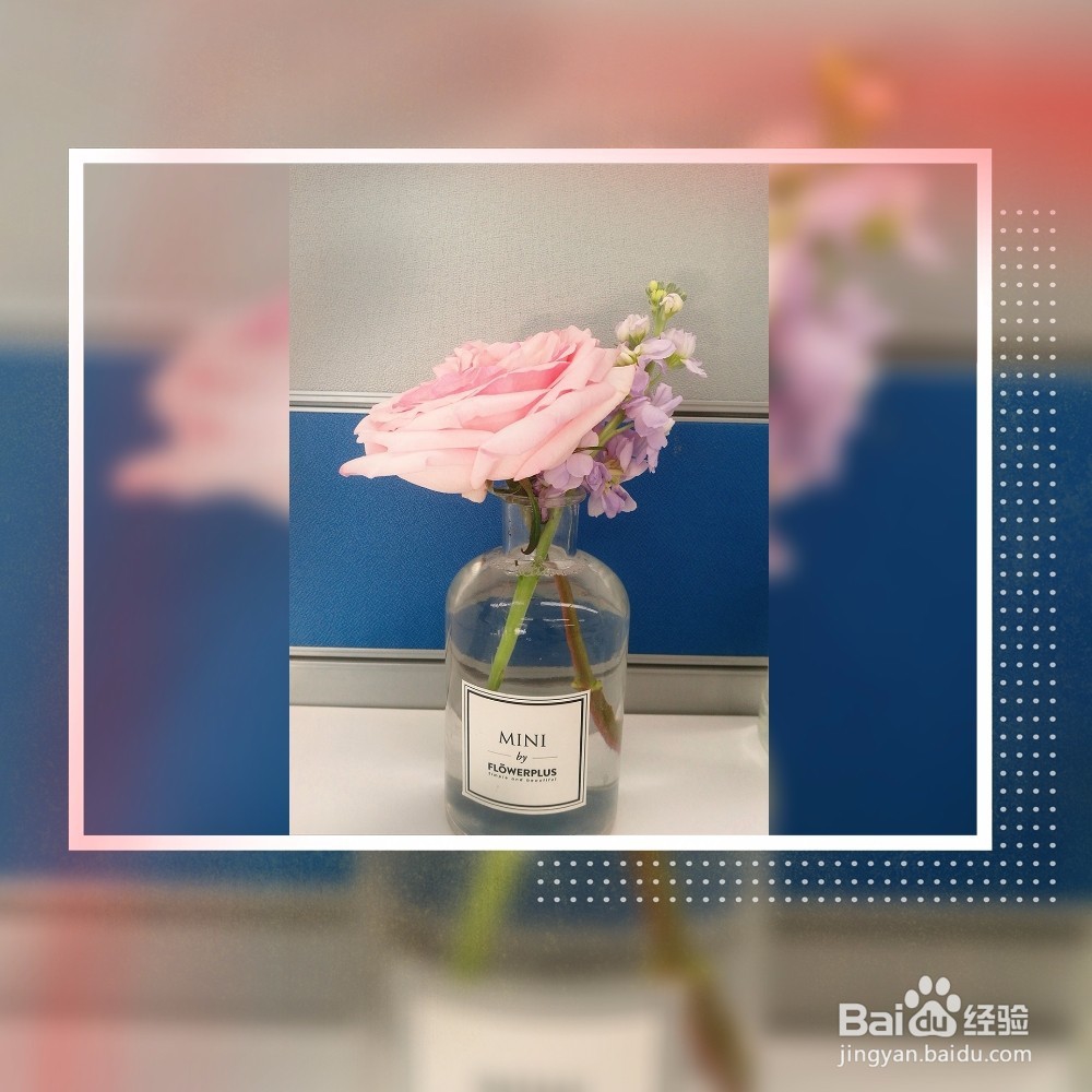 如何在办公室制作干花