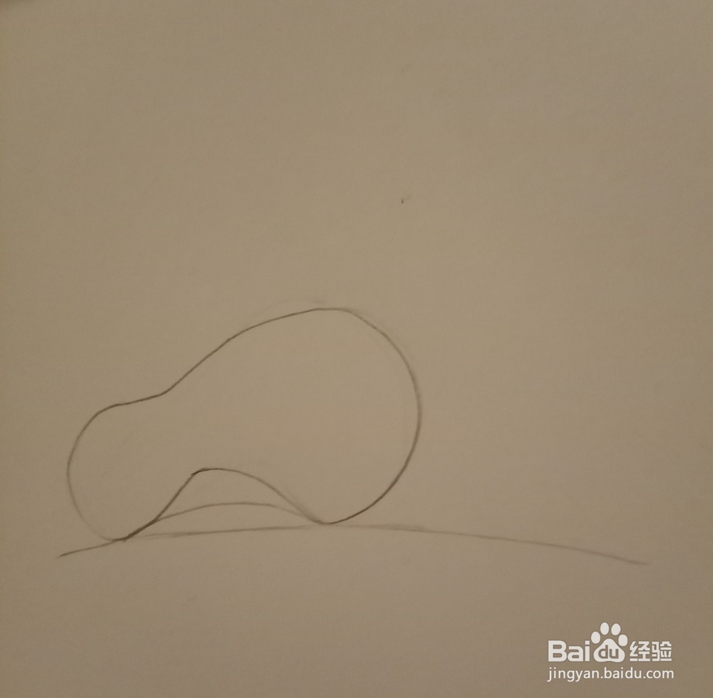 简单随笔画荷叶