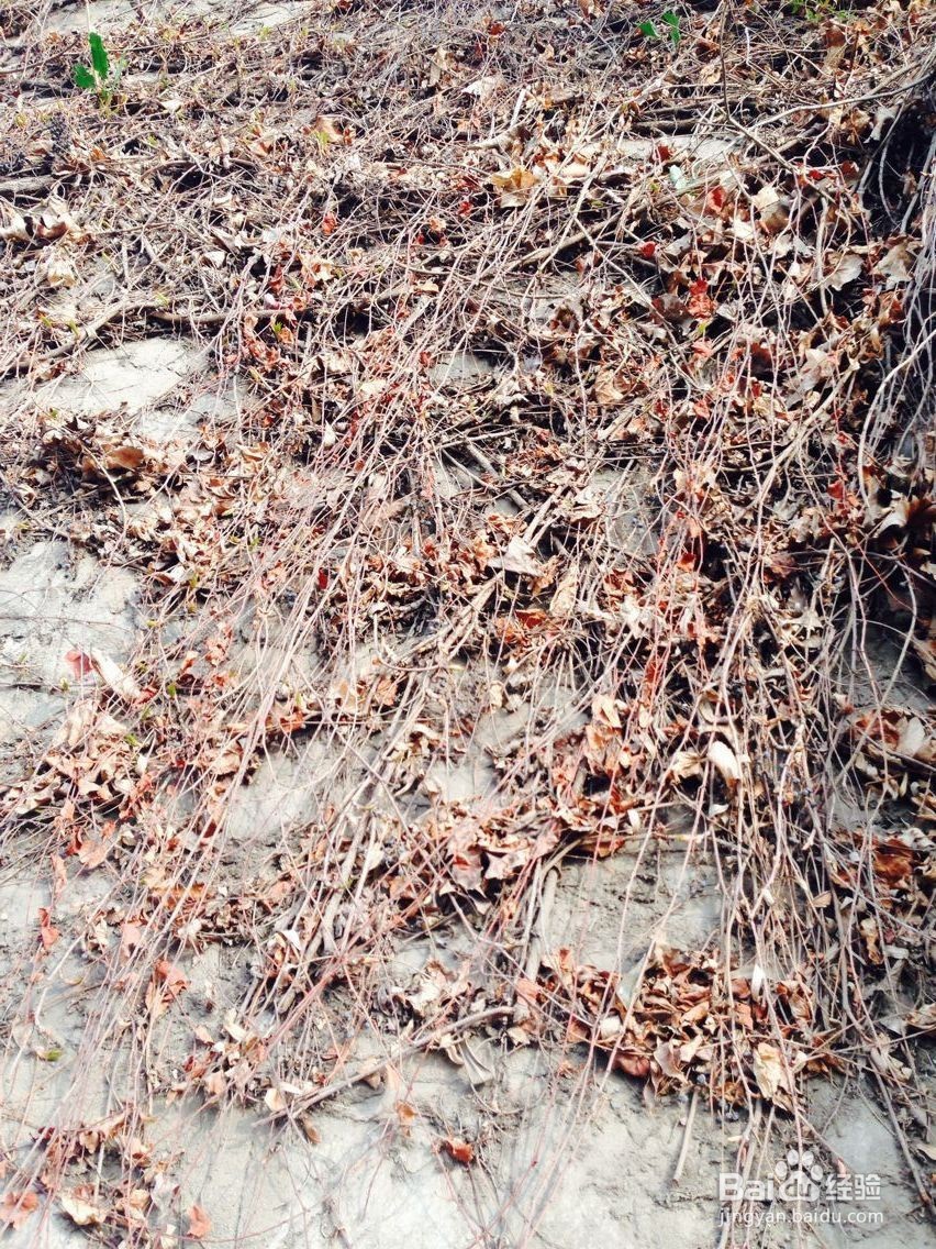 如何让老人快乐的生活？