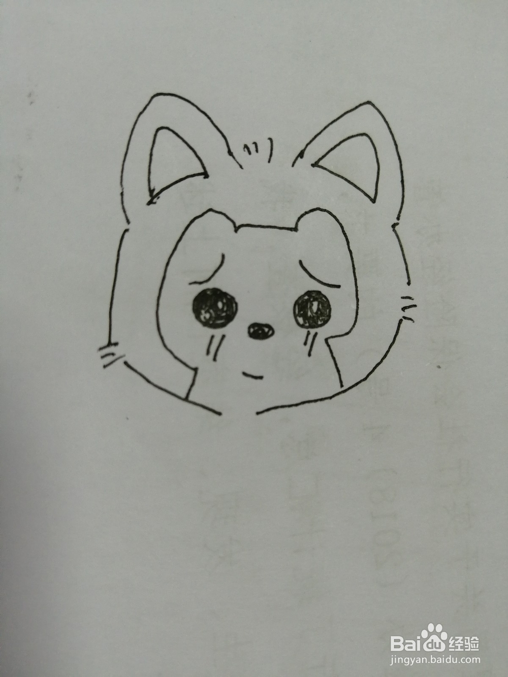 乖萌的可爱阿狸怎么画