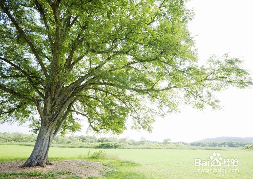 教你四个妙招缓解眼疲劳