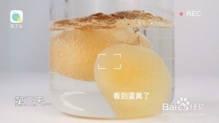 这个化学试验宝宝也可以做，让宝宝见识下来自化学的魔力吧！