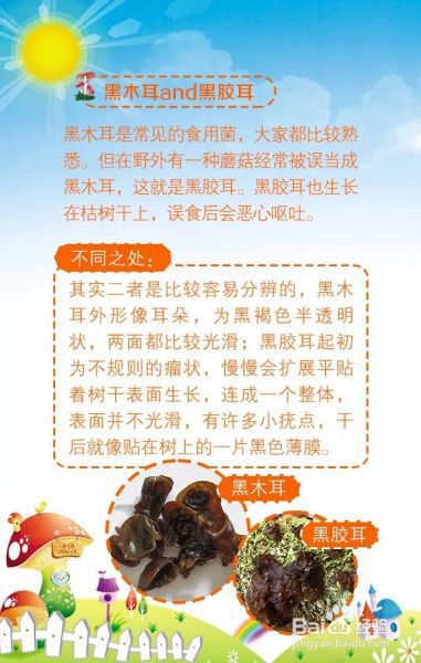 OMG！这些常见的蘑菇，看似“双胞胎”，实为“毒姐妹”！