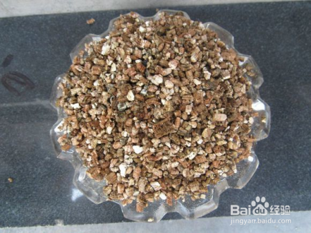 花盆上方总有虫子在飞？盆土这么处理一下，再也不见虫影了！