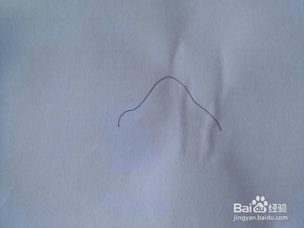 如何画蛤蜊简笔画？