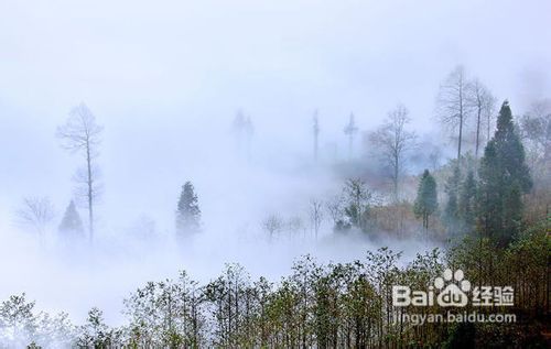 【我爱摄影】人间仙境：雾景拍摄技巧