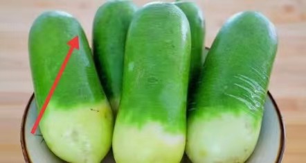 保存时间长的蔬菜