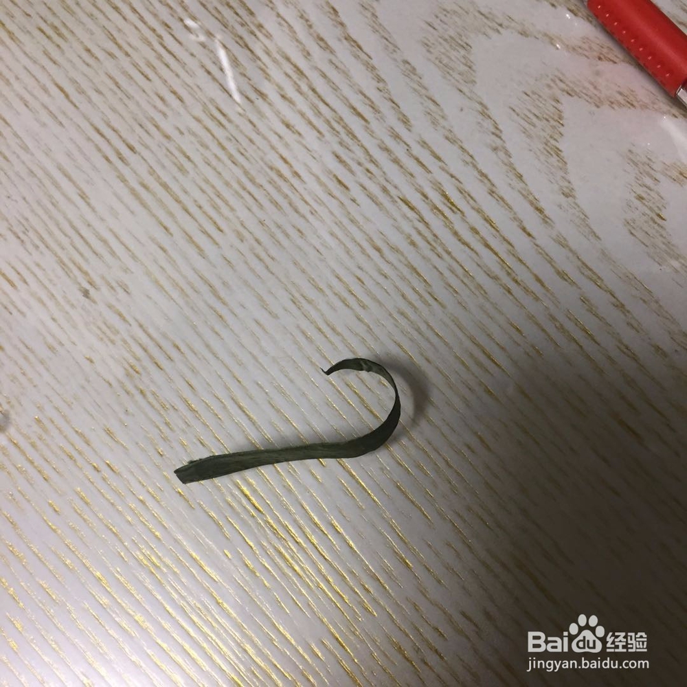 康乃馨叶子的折法