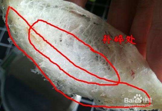 燕窝的价格 好的燕窝多少钱一克