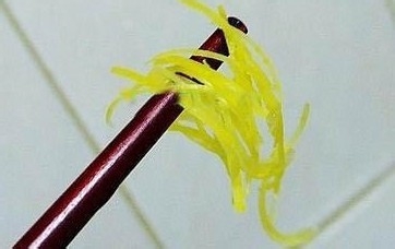 柚子皮如何用来制作怎么祛除色斑美白的柚子茶