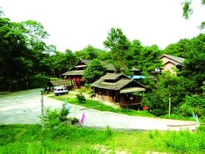 端午节干什么去
