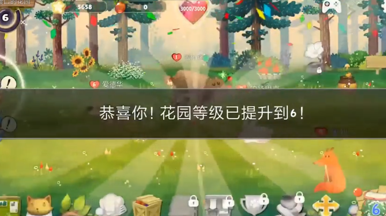 Q宠之森如何撸猫撸熊猫