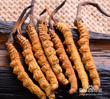 茅台冬虫夏草酒多少钱