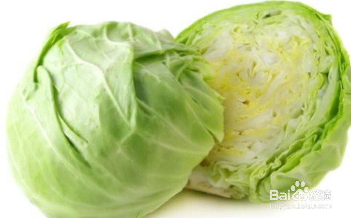 冬季养生哪些食物好