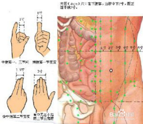 免费丰胸的两个穴位之二