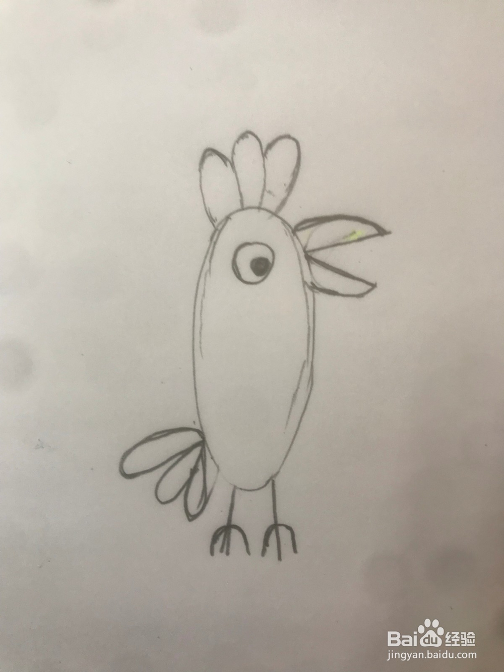 小猪佩琪里的鹦鹉波利如何画