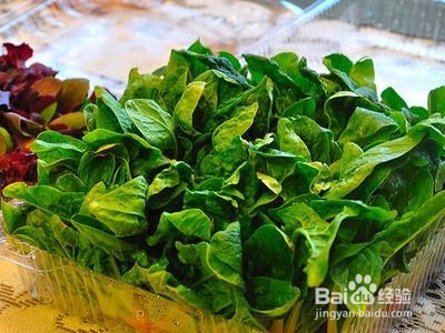 如何选择适合春天吃的蔬菜