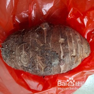 拔丝芋头的做法