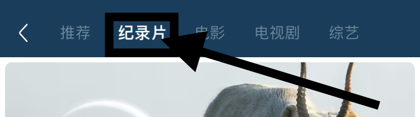 哔哩哔哩的纪录片在哪看