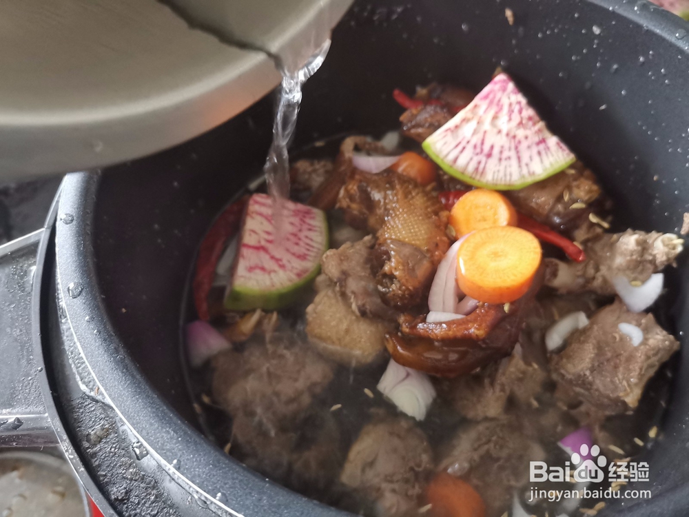 高压锅炖鹅肉