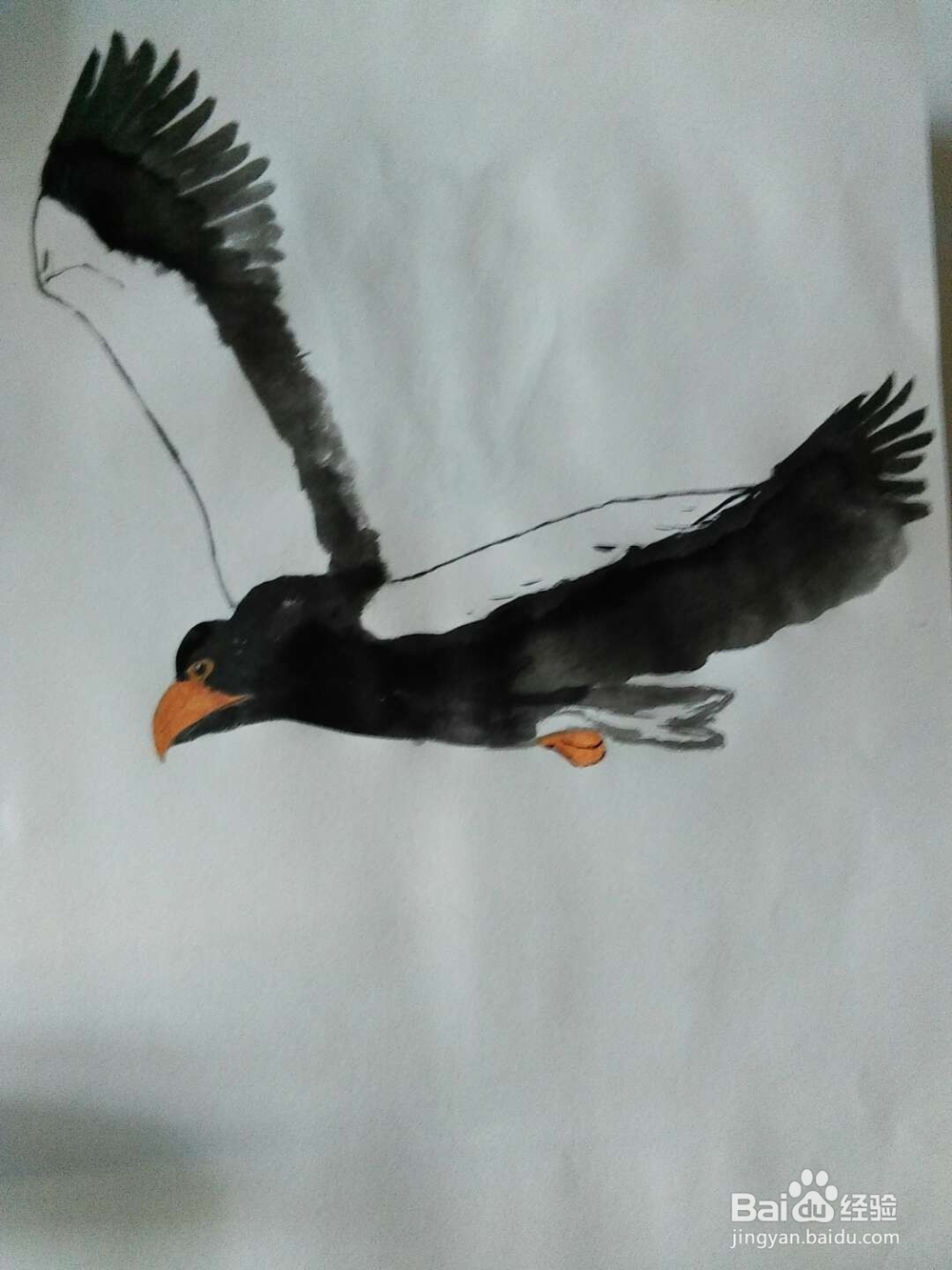 大鹏展翅的画法
