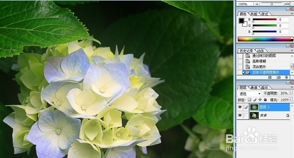 用PS如何打造照片朦胧感