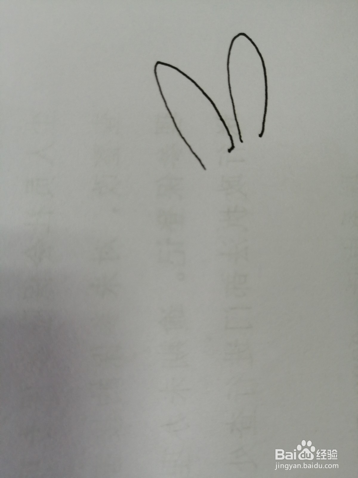 可爱的小兔子怎么画