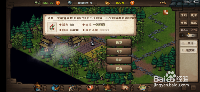 烟雨江湖怎么获得凌霄花
