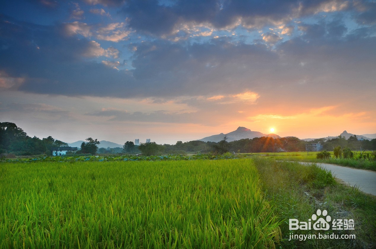 朗基产业集团董事长李斌如何践行乡村振兴战略