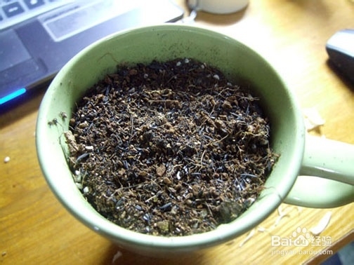盆栽制作方法、自制盆栽、盆景制作
