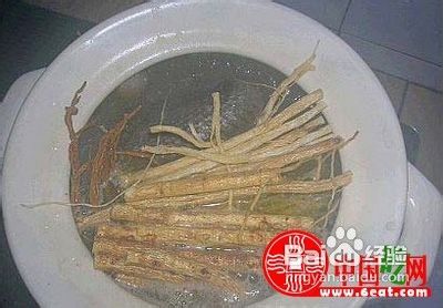 藥膳煲湯食譜大全