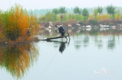 怎么垂钓才能提高立秋后的渔获