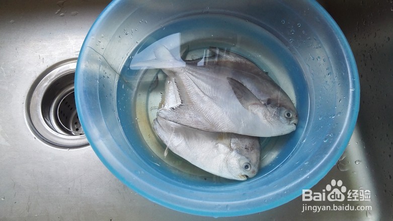 怎么做出美味的香煎鲳鱼
