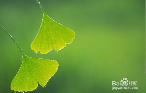 立秋了 大家要多吃这三种蔬菜啊!!