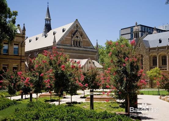 学院街攻略：[88]南澳大学申请攻略
