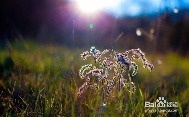 贵州会计实操做账流程（中小企业）