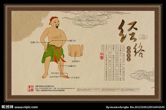 我的养生经验杂谈：[1]各类蔬菜的营养价值