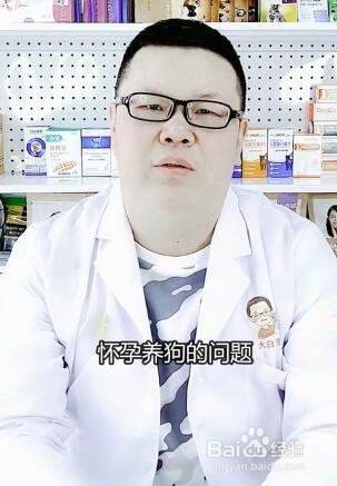 怀孕了可不可以养宠物