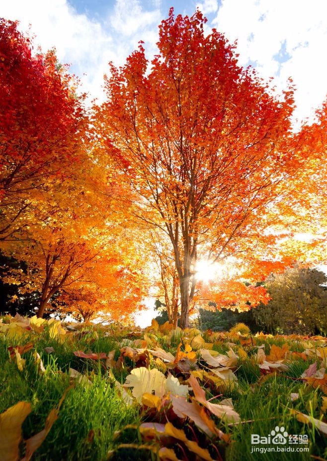 怎样修改图片大小【图文教程】