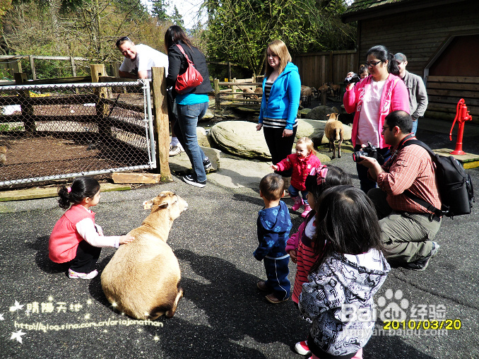 拾海的孩子&亲亲小动物(组图)
