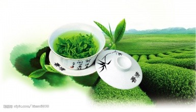 红茶、绿茶哪个好