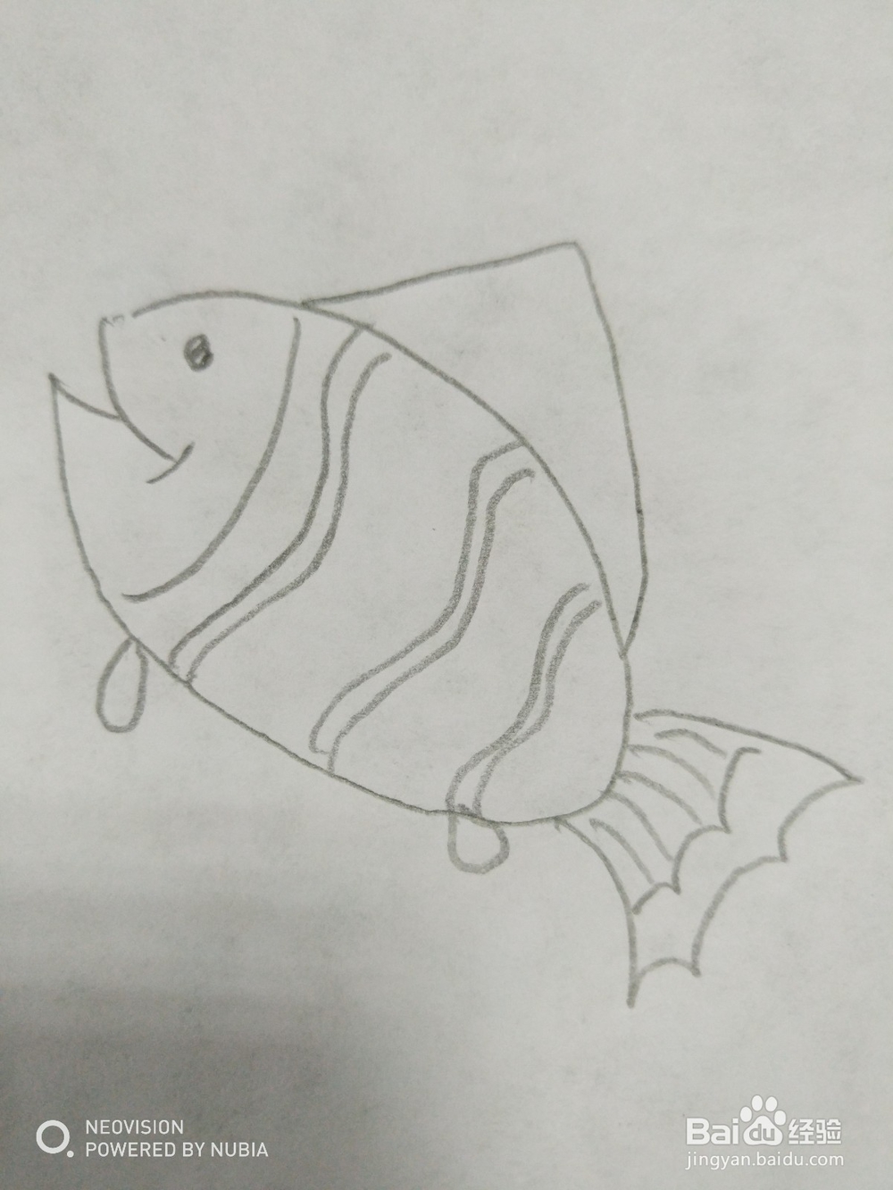 简单的小鱼怎么画（十）