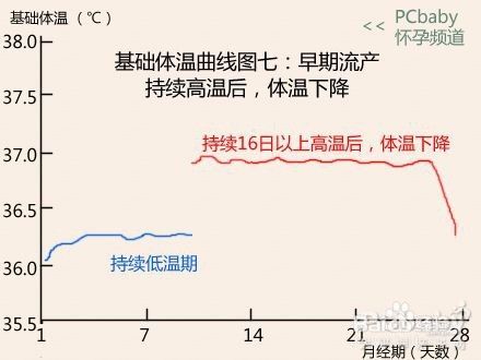 7种基础体温曲线图解读