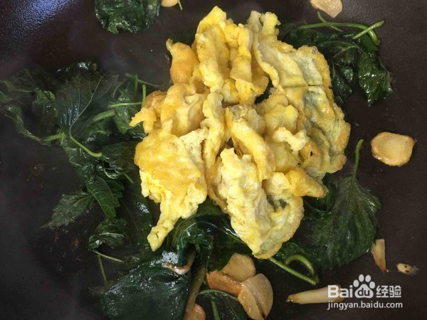 紫苏叶怎么炒吃最好吃