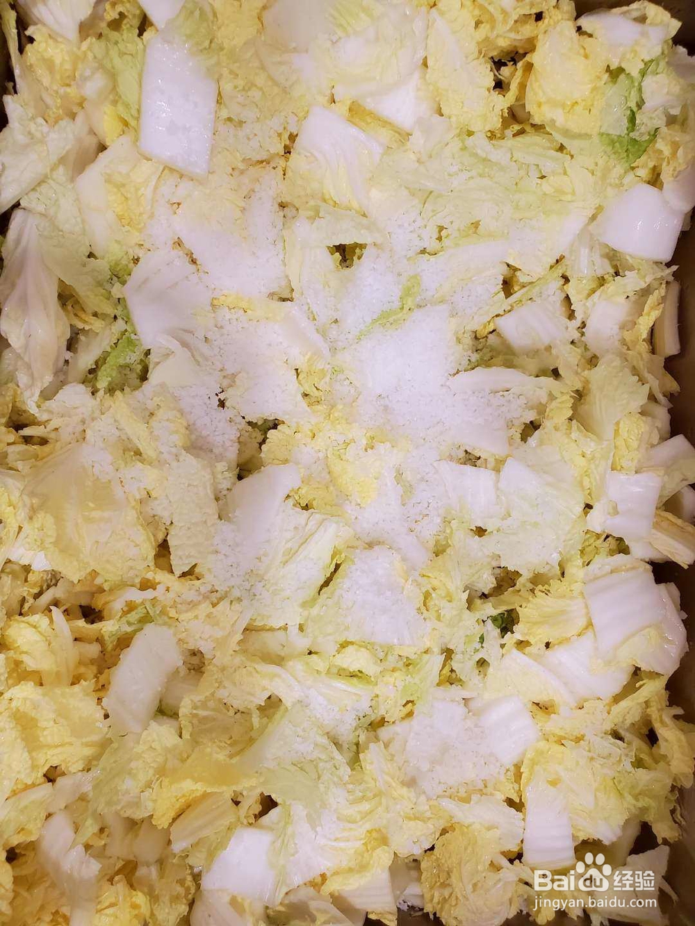 姨妈教我做泡菜