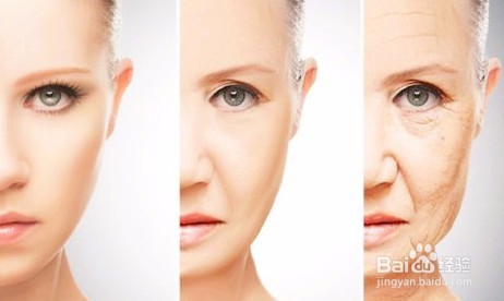 国庆节送礼送健康 滋补海参首选